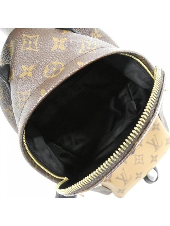 Louis Vuitton Monogram Reverse Palm Springs Backpack PM main image 6